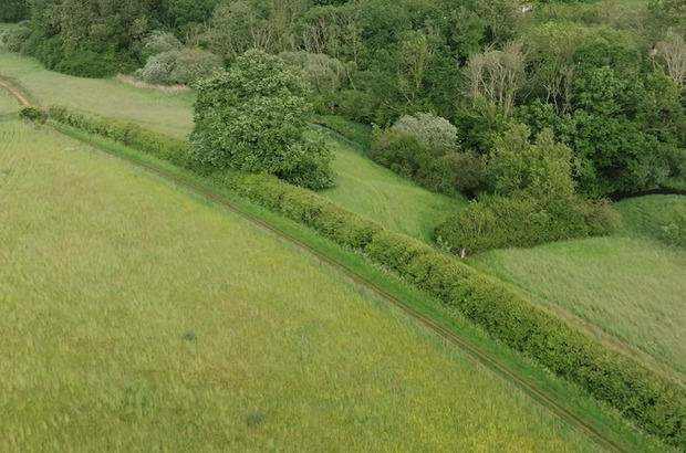 Aerial view of a green agricultural field bordered by a hedgerow, with a large tree and dense woodland along the edge of gently sloping farmland.