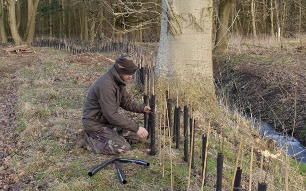 An estate worker kneeling in a forest planting trees on the Alscot Estate