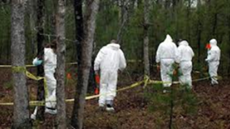 Officers in white suits searching woodland area