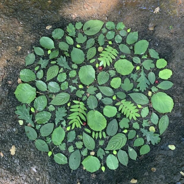 Principle 3 – go native: Land art displaying 14 different native trees and scrub species. Credit: Alisa Swanson