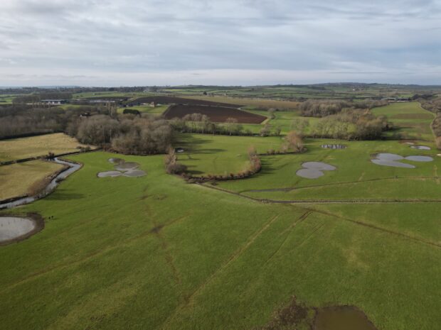 Ock-and-Thames-Landscape-Recovery-Project.-Credit-Freshwater-Habitats-Trust.jpg