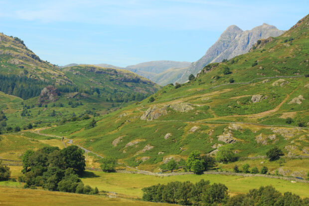 Beautiful Langdale Fell showing signs of recovery