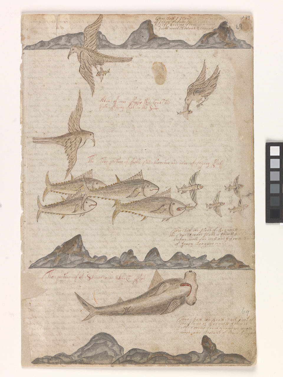 An image showing 'JOD/4; Barlows Journal. Dates 1659 to 1703.'