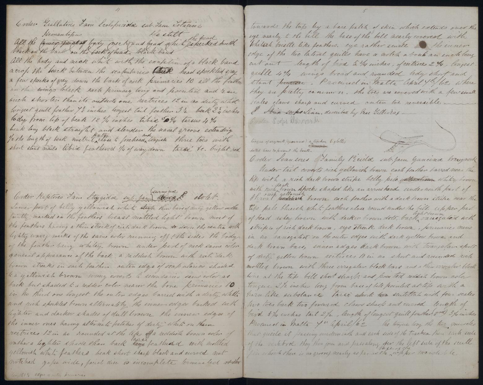 An image showing 'JOD/25; Commander Roland Money Sperling, Rough Notes by Lt Rowland M Sperling, HMS MARLBOROUGH, 1862. 1862'