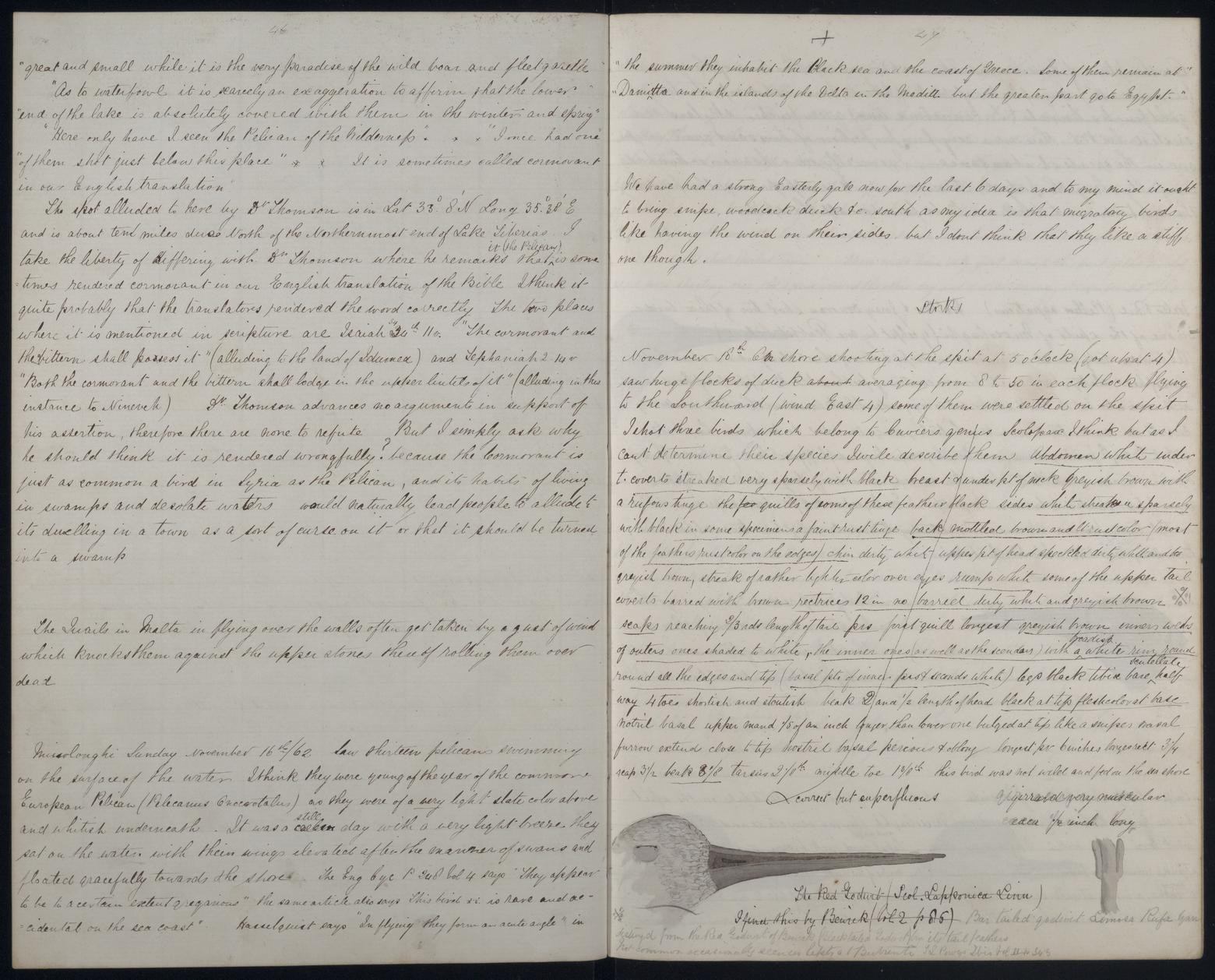 An image showing 'JOD/25; Commander Roland Money Sperling, Rough Notes by Lt Rowland M Sperling, HMS MARLBOROUGH, 1862. 1862'