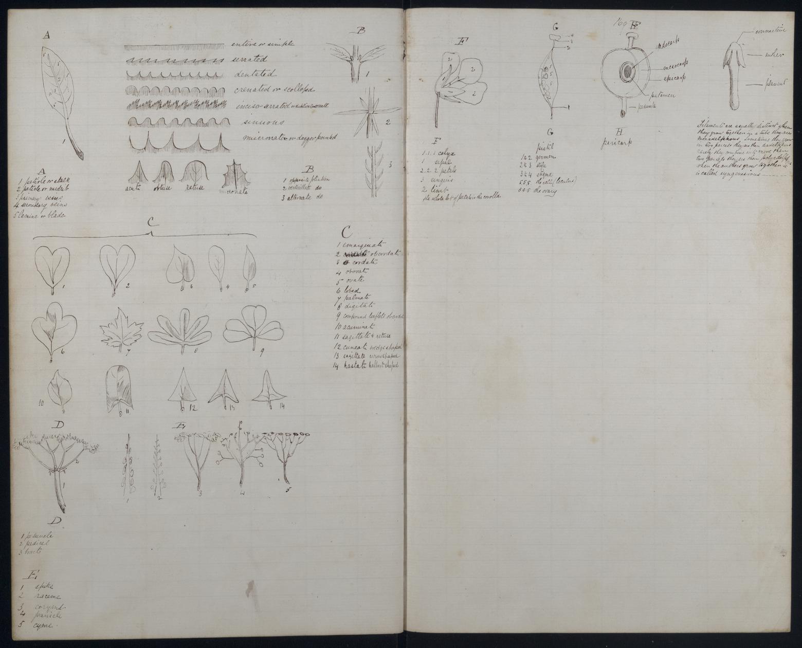 An image showing 'JOD/25; Commander Roland Money Sperling, Rough Notes by Lt Rowland M Sperling, HMS MARLBOROUGH, 1862. 1862'