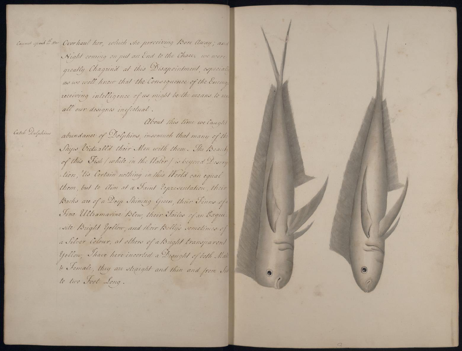 An image showing 'JOD/36; Account of Commodore George Anson's voyage round the world, 1740-1744. 1740-1744'