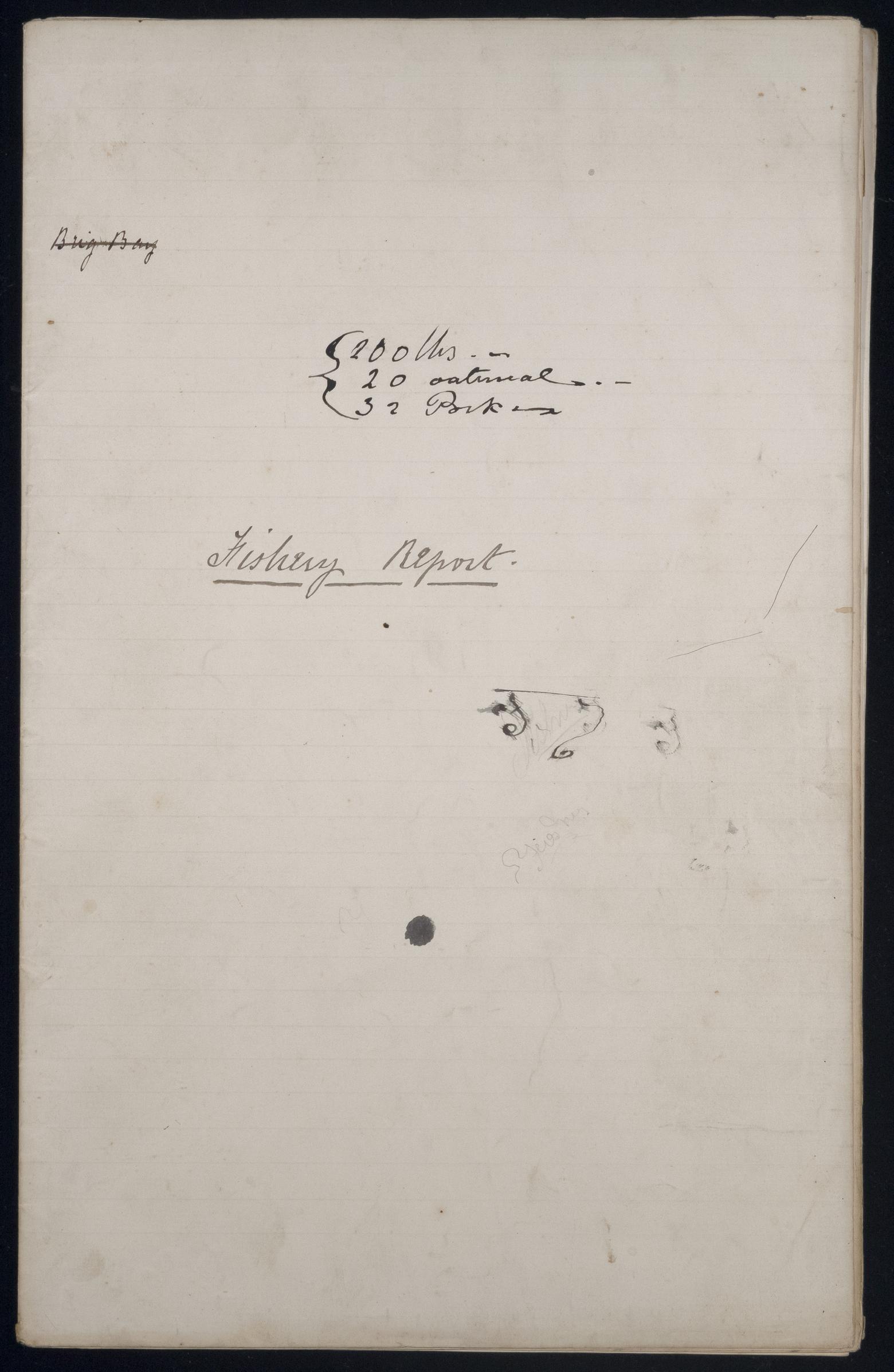 An image showing 'JOD/95; Journals and memoranda relating to Captain John Masterman, HMS IRON DUKE AND HMS BULLFROG, 1871-1888 1871-1888'
