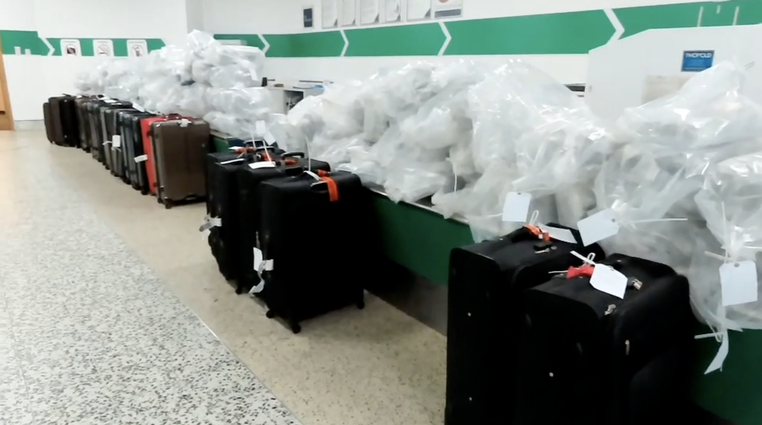 Cannabis seizure