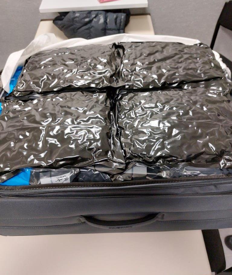 Cannabis that was seized after it was discovered in a suitcase