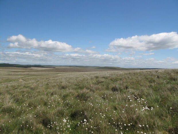 A view across Butterburn Flow, Cumbria. Part of one of the finest peatland landscapes in England - the Border Mires (Copyright Iain Diack, Natural England)