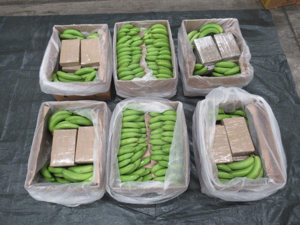 Cocaine concealed in bananas