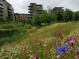 Kidbrooke