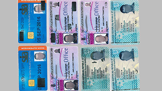 False ID documents laid out