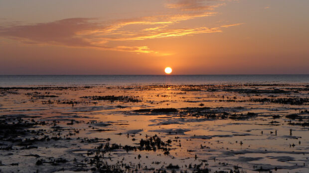 Image shows a beautiful senset, with hues of orange and purple over the mudflats of the NNR