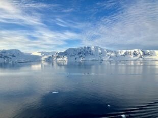 Photo credit: H Teare. Enjoying a peaceful moment on our way to Port Lockroy
