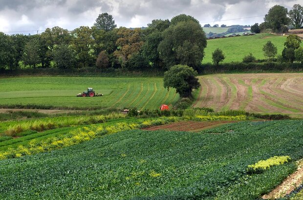 Mid Devon District, England, United Kingdom