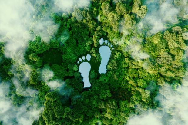 An above shot of a forest, with two footstep-shaped bodies of water in the middle of the green.
