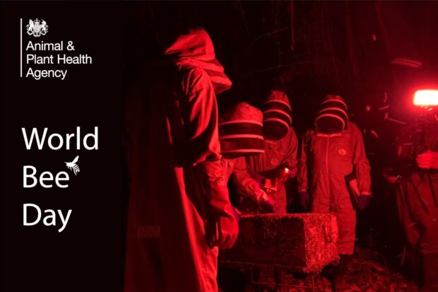 Image of beekeepers at night standing round a hive. The APHA logo appears as well as the title, "World Bee Day".