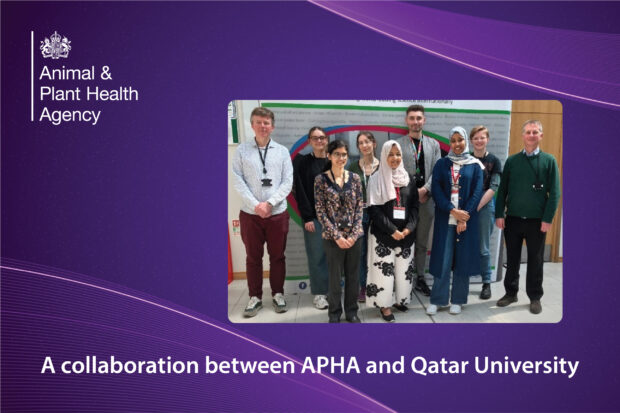 Group of nine individuals standing for a group photo indoors. The APHA logo is present alongside the text, "A collaboration between APHA and Qatar University."