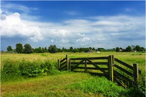 Gate in the countryside