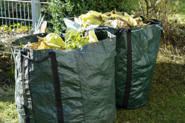 Two bags of leaves, grass and garden waste on a lawn.