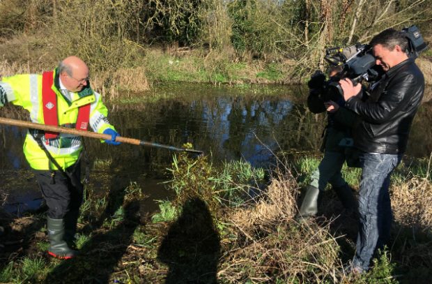 Lord Gardiner clearing pennywort