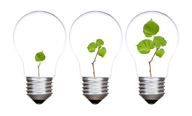 Three light bulbs with green plants inside - image licensed by Ingram Image