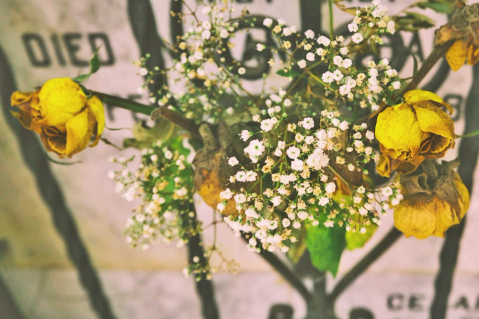 Flowers at a gravestone