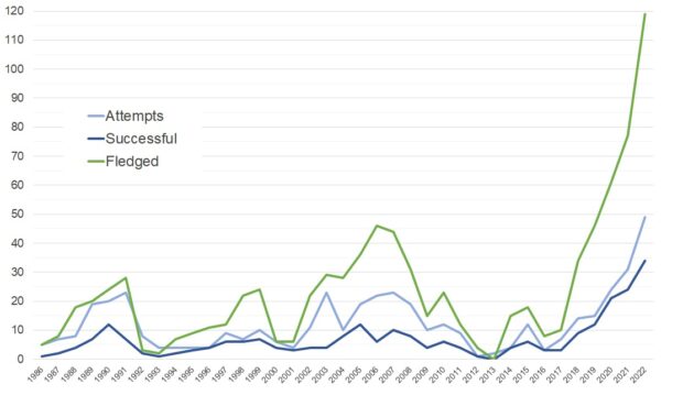 Numbers of hen harrier nesting attempts and chicks fledged