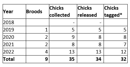 Numbers of hen harrier chicks brood managed during the trial
