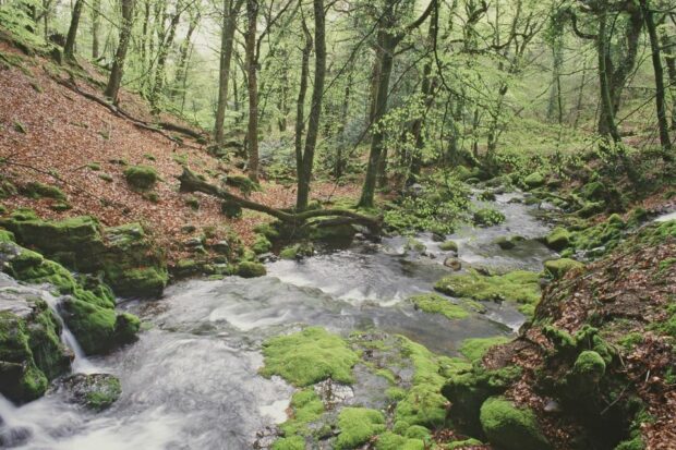 The River Yealm in Devon