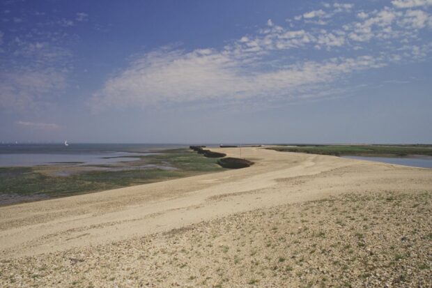 Horsey Island beach
