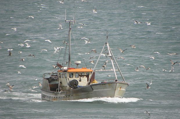 boat and sea birds catch quota trials