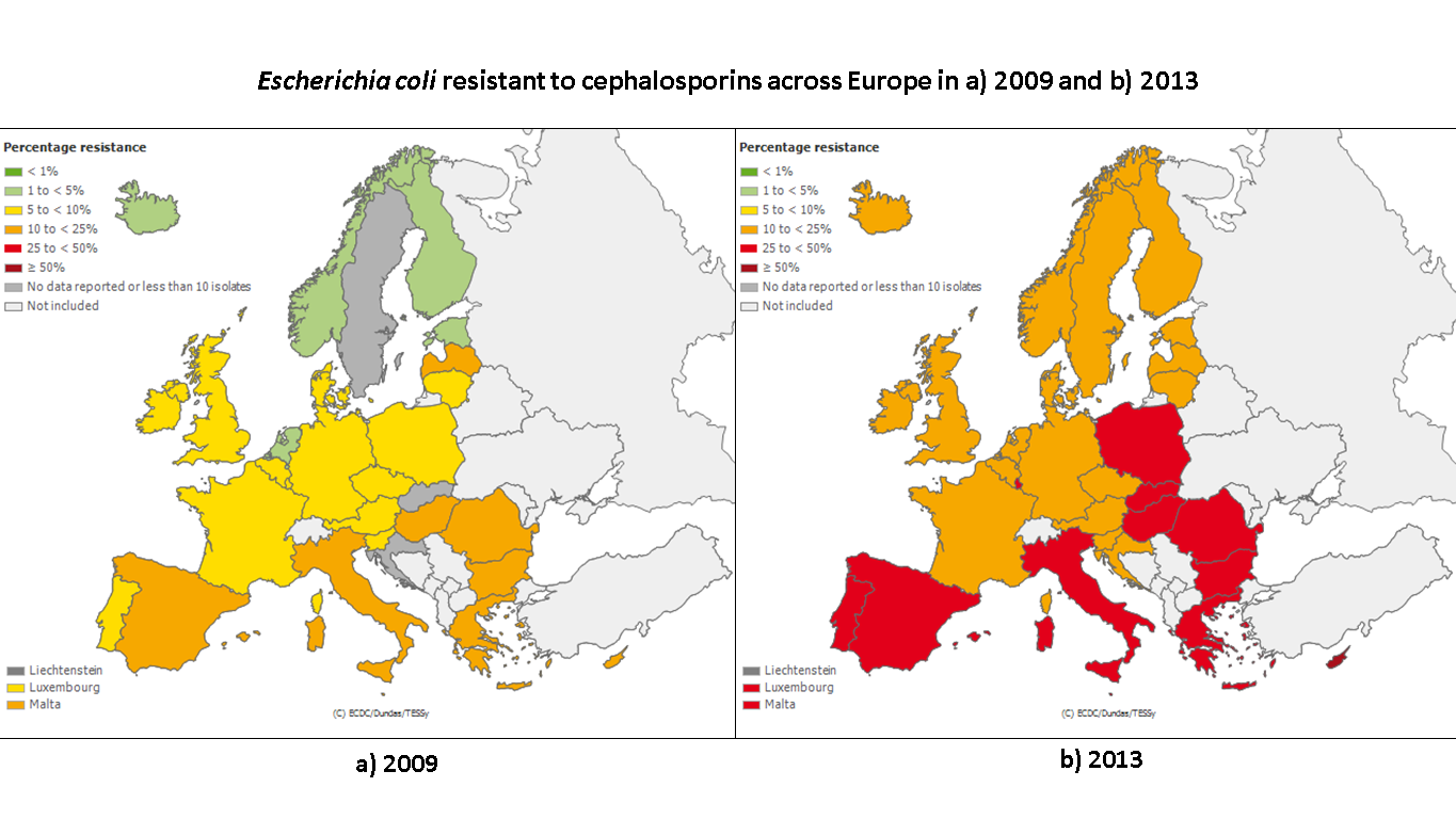 AMR resistance map