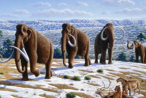 Exploring Extinction