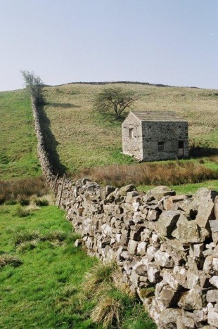 wall