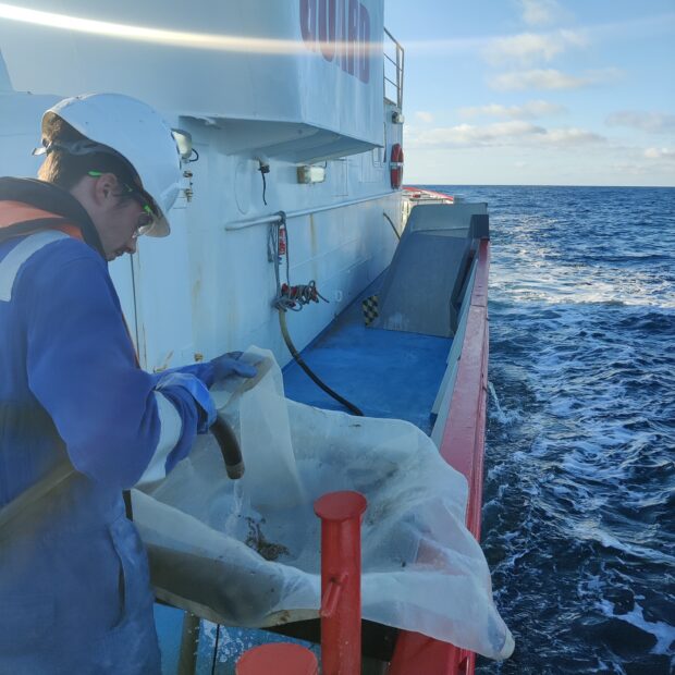 Collection of new seabed (benthic) data in the North Sea