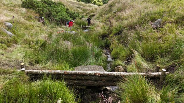 Logs secured in place across a stream coming down the valley as a natural flood management solution, with people erecting more dams upstream