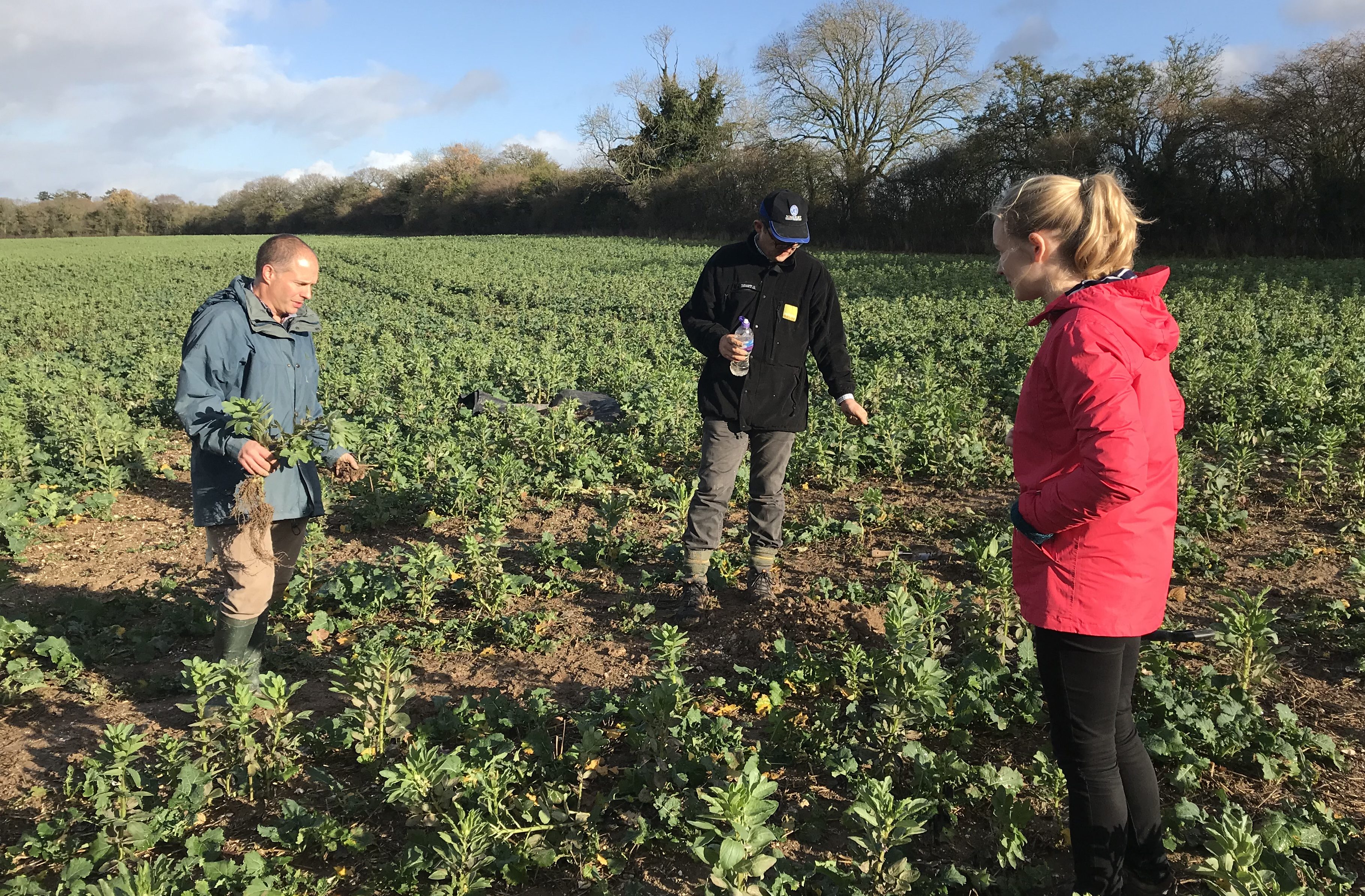 Image of three people standing in a field at Wheatsheaf Farming in Hampshire.