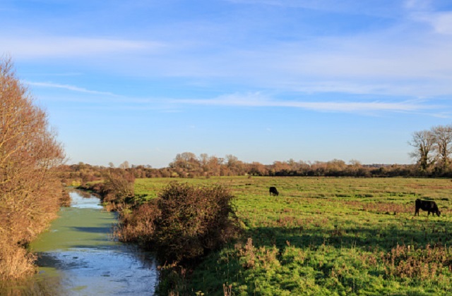 Image of a salt marsh in Cumbria.