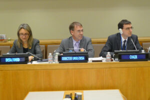 John Pullinger (right) chairing the UN Statistical Commission