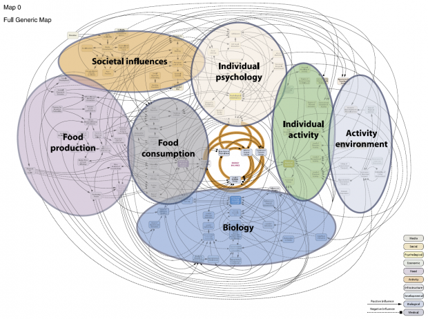 Graphical representation of the system of factors identified by Foresight that contribute to the prevalence of obesity.