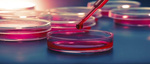 Picture shows pipette and test tubes