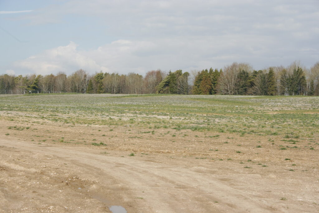 Part of the site of the new homes. [Crown Copyright/MOD2016]