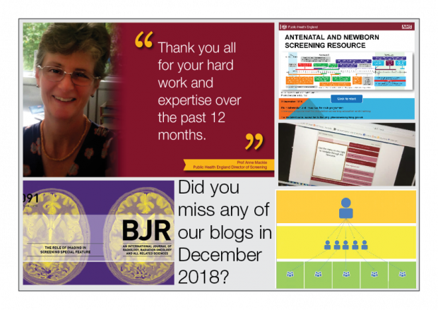 Collage of images from PHE Screening blog articles published during December 2018 and including the words 'Did you miss any of our blogs in December 2018?' and 'Thank you all for your hard work and expertise over the past 12 months'