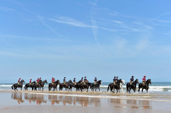 The Knightsbridge based Household Cavalry Mounted Regiment moved horses to Bodney Camp in Norfolk to conduct their annual Regimental Training Camp. The prospect of a month in the country away from the rigours of ceremonial duty is the highlight of the Cavalry year. Bodney Camp and the North Norfolk coast provide the open space to enable a wide range of training to take place which would be impossible to deliver in central London. The Cavalrymen will undergo advanced riding techniques, weapons handling, farriery training, crowd training, military fitness tests, participate in tent pegging, sword, lance and pistol drill, cross country riding and show jumping.