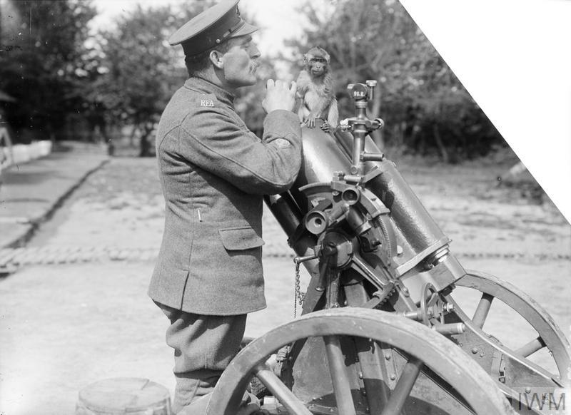 A monkey mascot sitting on a mortar during the First World War