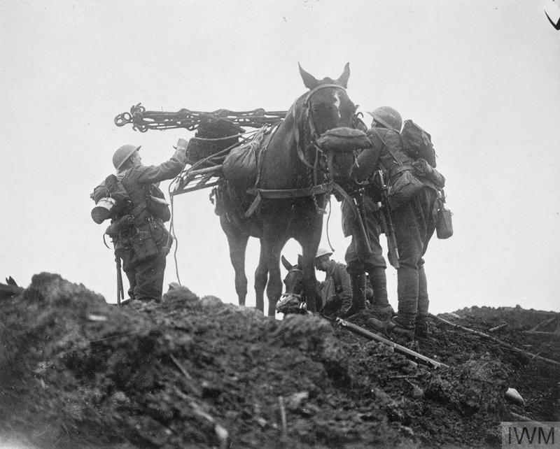 Battle of Pilckem Ridge. British troops loading a pack horse with wiring staples. Note the horse's gas-mask. Near Pilckem, 31 July 1917.