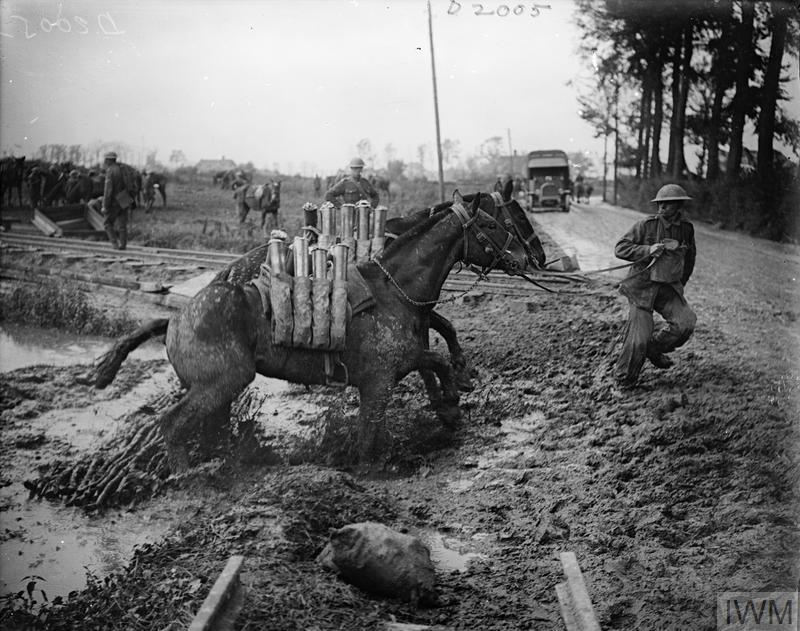 Battle of Pilckem Ridge. Two pack mules carrying shells struggle through the mud near Ypres, 1 August 1917.